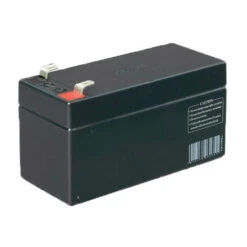 FR0748 Batterie De Secours CAME 12V - CAME