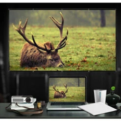 SEENLIN Ecran De Projecteur Hd Portable De 80 Pouces 16: 9 Ecran De Projection Pliable Epais Durable Pour Le Cinema Maison En Plein Air, Blanc -Dahuace Boutique 75560908 5