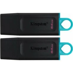 KINGSTON Kingston DataTraveler Exodia DTX/64GB-2P Clé USB 3.2 Gen 1 - Avec Capuchon De Protection Et Anneaux Pour Porte-clés De Plusieurs Couleurs (DTX/64GB-2P)