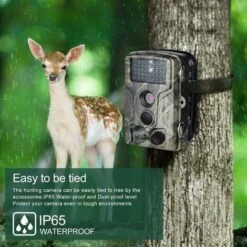 LECHUANG Caméra De Chasse 16MP 1080P IP65 Étanche, Caméra Surveillance Avec 42Pcs LED Vision Nocturne Infrarouge Jusqu'à 80FT/25m Et Grand Angle 120° -Dahuace Boutique 98443820 4